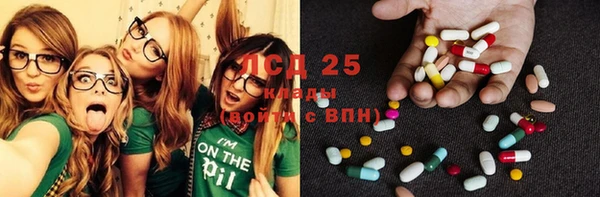 гашик Липки