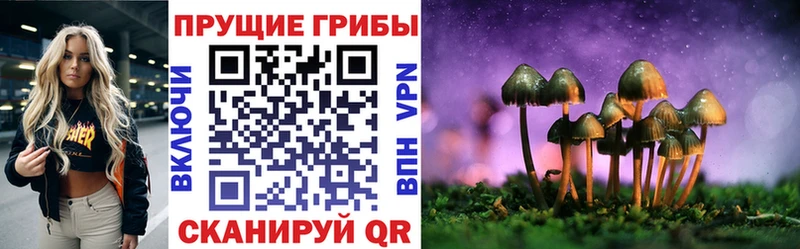 Псилоцибиновые грибы Cubensis  Липки 