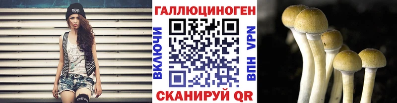 Галлюциногенные грибы Psilocybe Липки